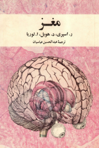مغز